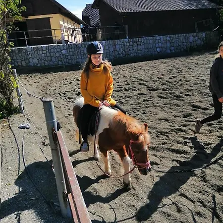 Podkoren 82 Kranjska Gora