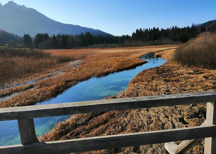 Apartment Podkoren 82