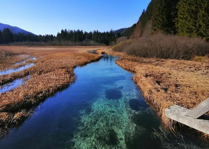 Podkoren 82 Apartment