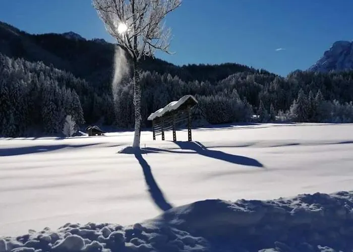 Podkoren 82 Apartma *