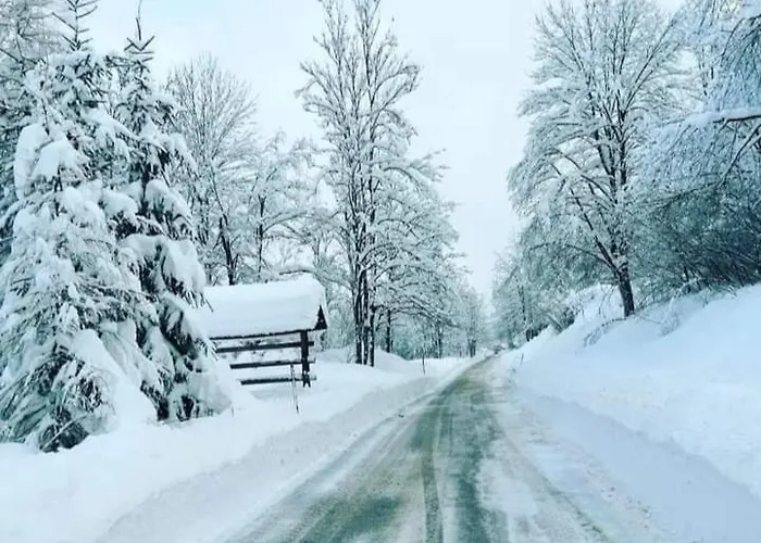 Apartment Podkoren 82 *