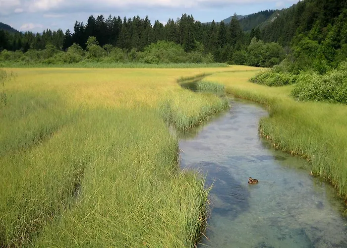 Apartma Podkoren 82 *